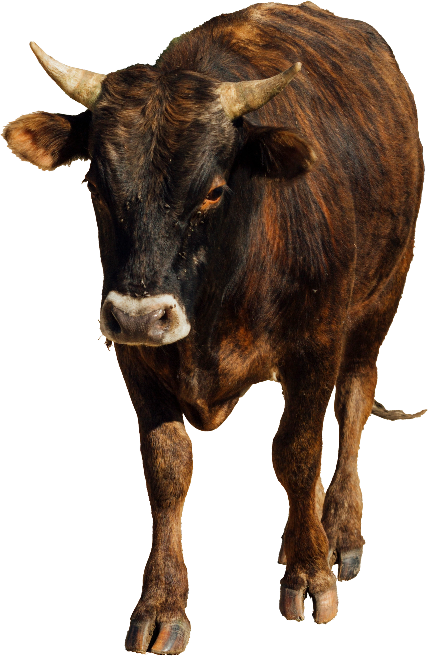 VISITE DE LA FERME
